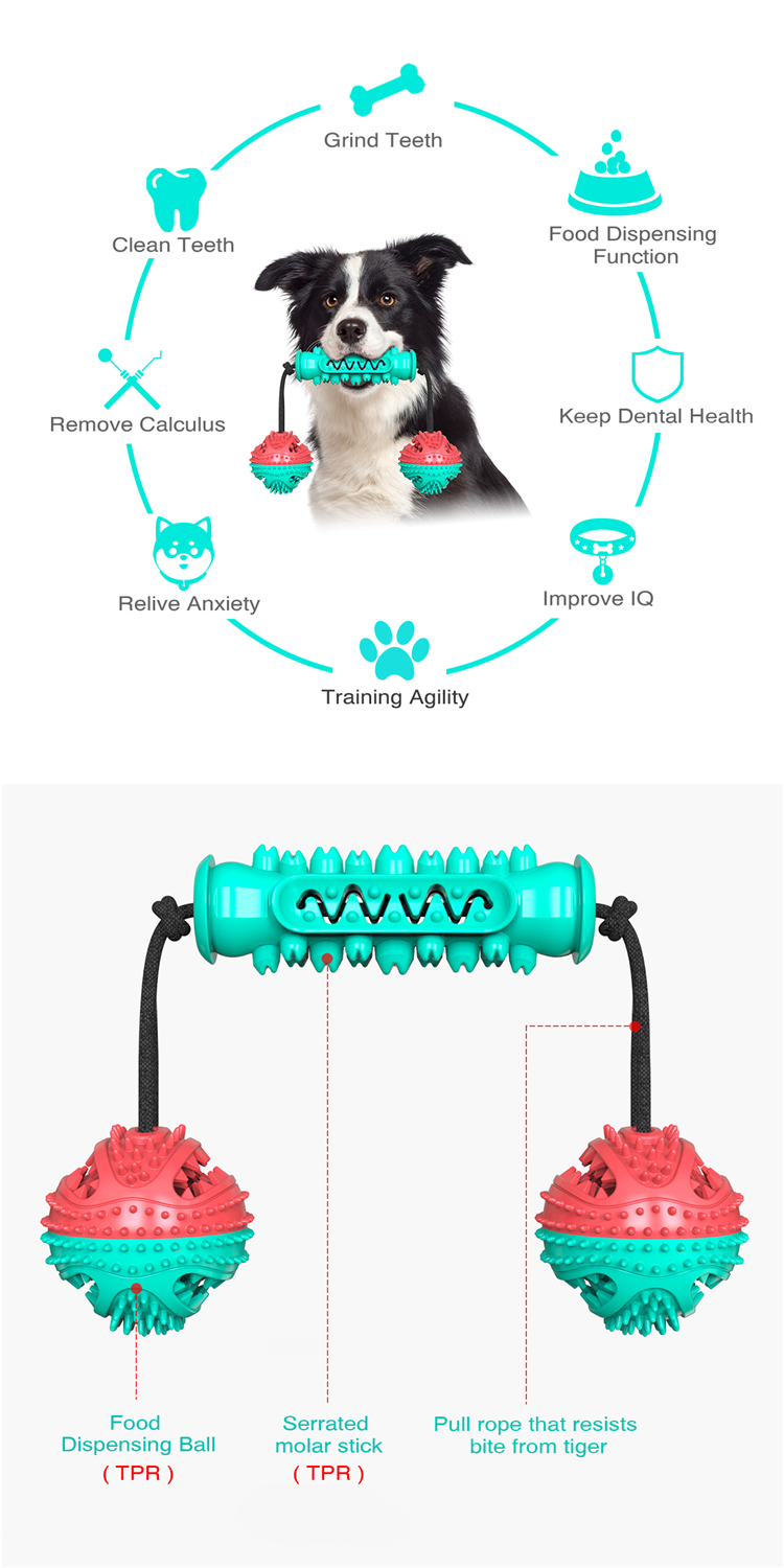 New Type Top Sale Eco-friendly Dog Toothbrush Toy Stick Rope Pet Molar Bite Ball Toys