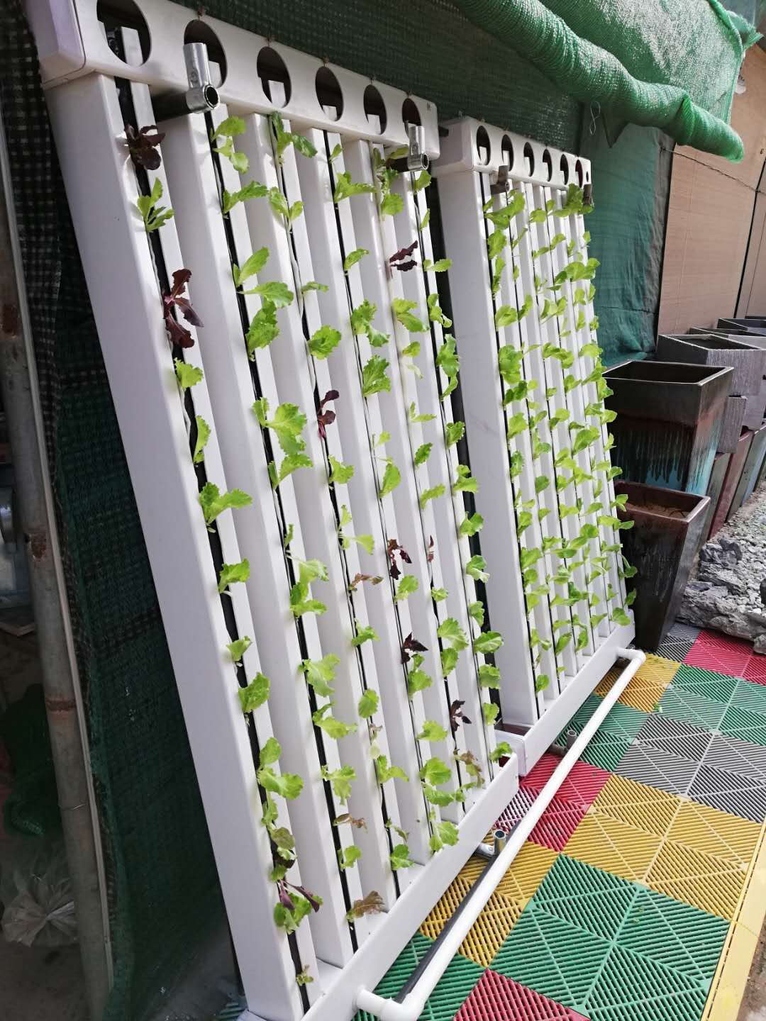 C-Growart Farm Hydroponic Growing System Soilless Cultivation For Plant Growth