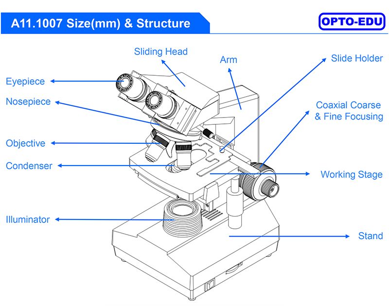 Laboratory Compound Xsz 107bn 1600x Biological Microscope
