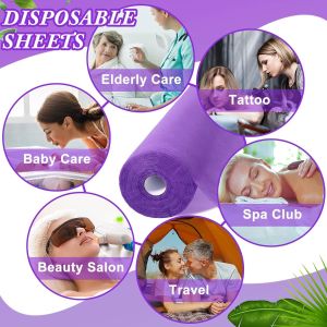 environmentally friendly, convenient, efficient, Hotel Home Beauty Room Use PP