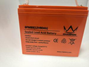 China OEM 12v Deep Cycle Marine Battery , Flat Rechargeable Lithium Battery on sale
