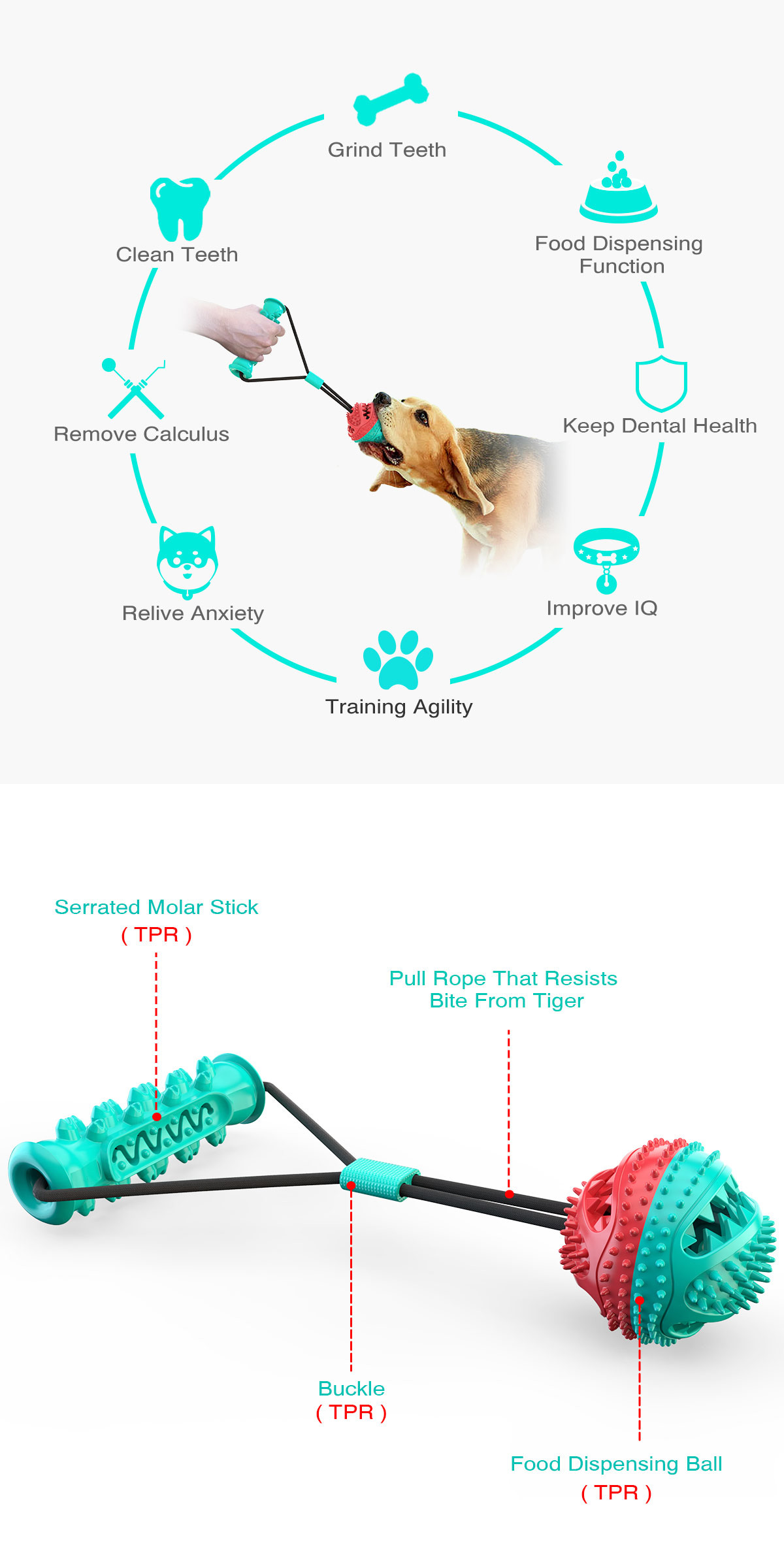TPR OEM Dog Tug Of War Toy Suction Cup
