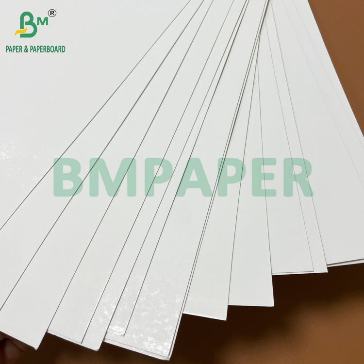 Good Strength 250g - 400g Heat-sealable Blister Cardboard Roll Width 1041mm