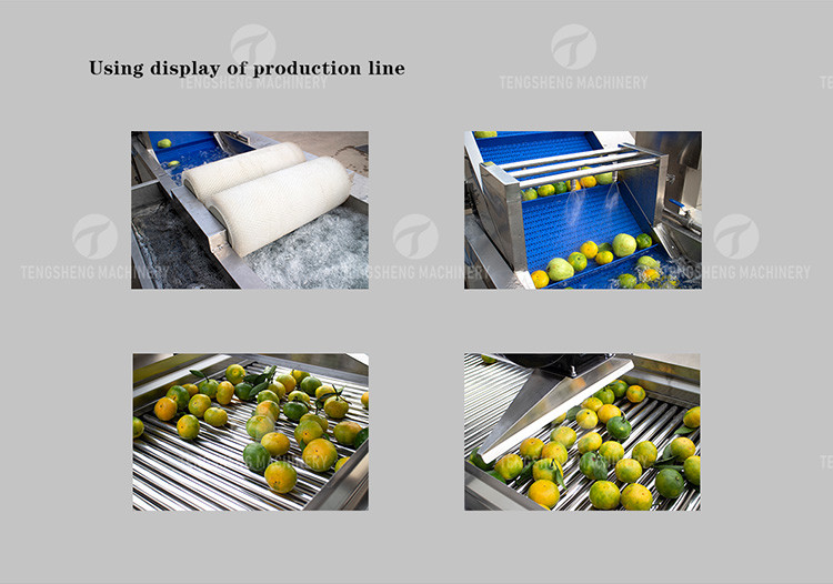 Customized Driven Pesticide Exclude Vegetable Processing Line , Centrifuging Tomato Processing Line