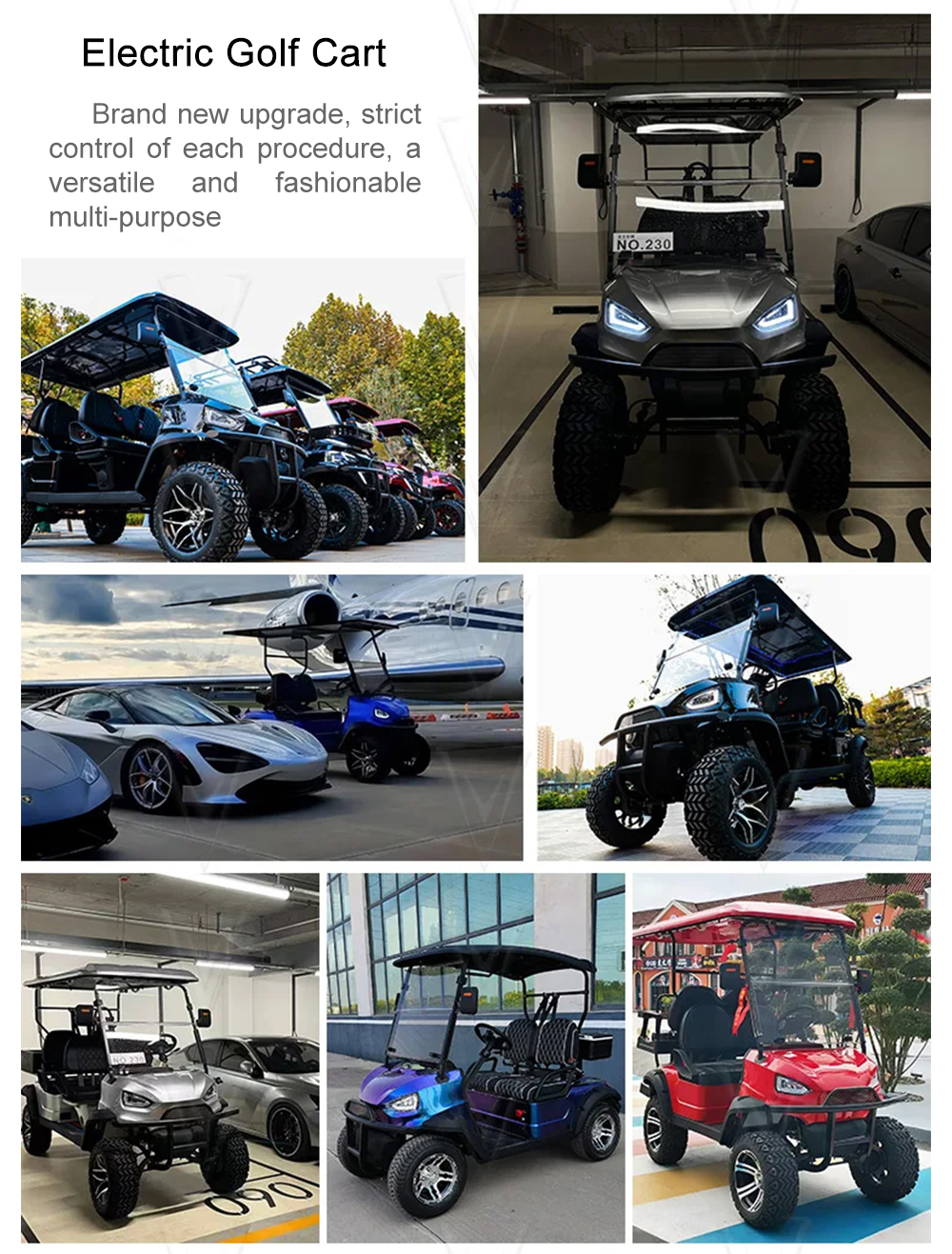 4 Seater Electric Golf Cart Standing Postion of Tail Caddie 48V LiFePO4 Lithium Batteries