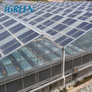 Quality Solar Gray Polycarbonate Sheet Greenhouse For Aquaponics Farming System for sale