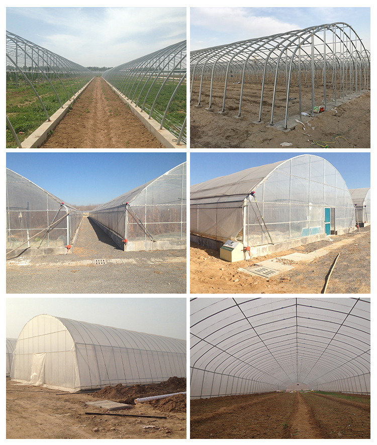 LiTai Greenhouse Single-span PE Film Greenhouse with Ventilation System on Side Window