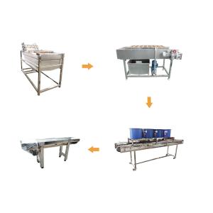 Quality Hot selling Stainless Steel Drum Vegetable Washing Machine by Huafood for sale