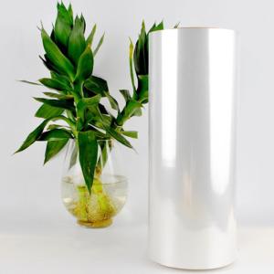 Quality Polylactic Acid Sheet Biodegradable Clear PLA Sheet Roll for sale