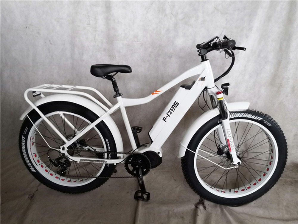 Shimano Gear Alloy Stem Dual Batteries Folding Step Through Ebike for Carrying Kids