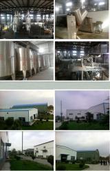 Hongkong Solomon International Trade Group Co., Limited