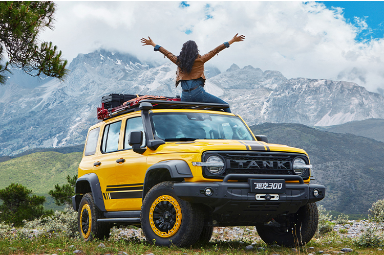 2023 Max Speed 160km/h Changcheng Great Wall Tank 300 SUV Vehicle Cars 0km Used Cars SUV 2.0T Compact Suv Sedan Sale