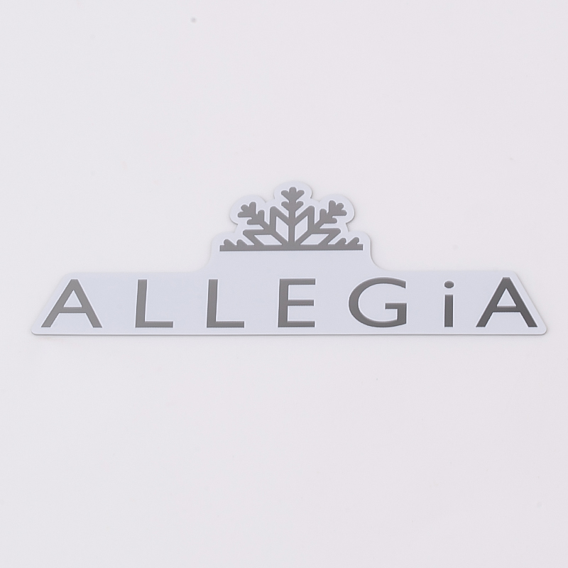 Customized Stainless Steel Label Plate with Self-Adhesive Back Glue and Customer's Logo
