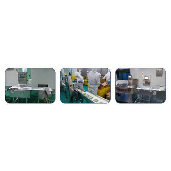 1000g Automatic Weight Sorting Machine Stainless Steel Checkweigher Machine