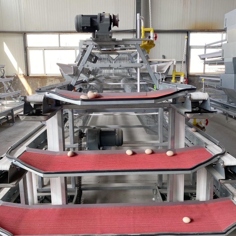 4 Tiers Poultry Farm Egg Layer Battery Chicken Cage With Automatic Nipple Drinker