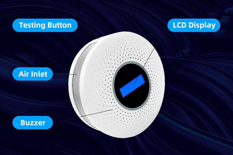 2 In 1 Carbon Monoxide And Smoke Detector LCD Display Replaceable Battery CO Sensor