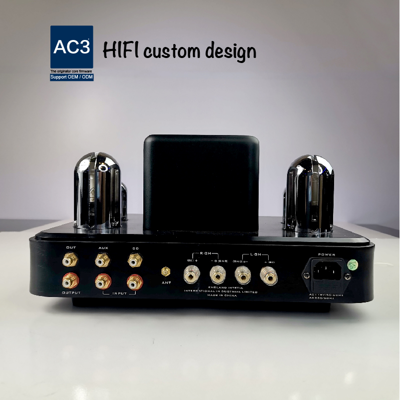 USB SD APE WAV 2 Channel Mini Tube Amplifier