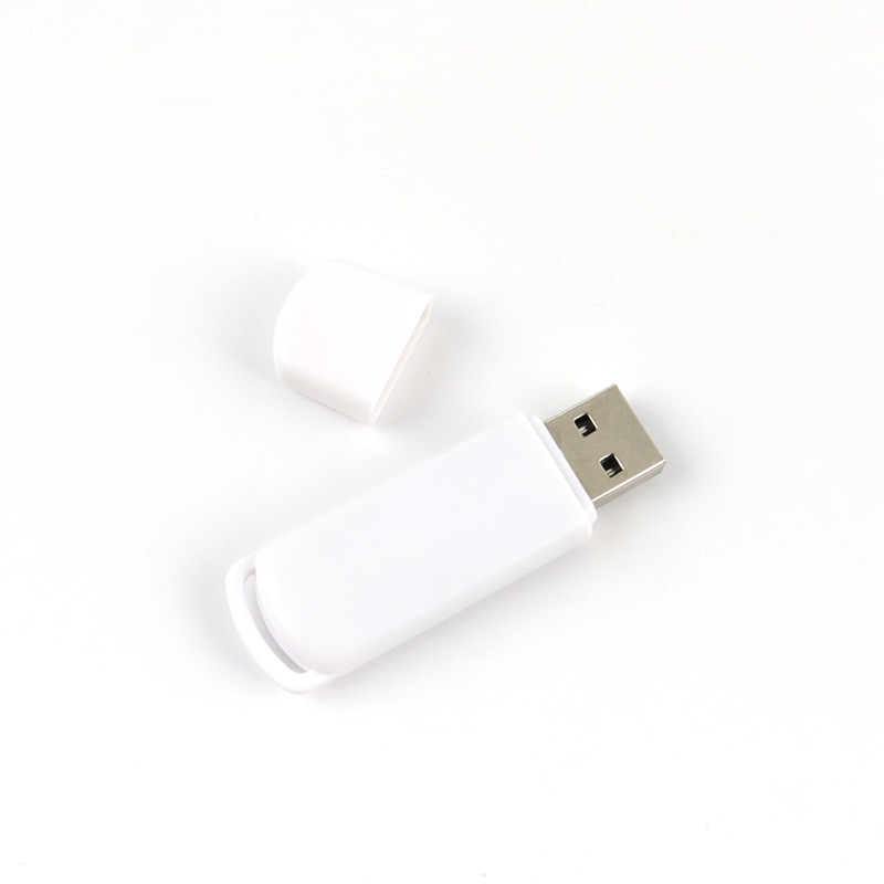 Recycle Material Plastic USB Stick 1G/2G/4G/8G/16G/32G/64G/128G/256GB/512GB/1TB With Rubber Oil