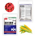 Amino Acid Granules Organic Blended Fertilizer Agriculture High Solubility