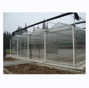 Quality 8m 9.6m 12m Span Width Agriculture Greenhouse For Hybrid Tomato Seeds And Vegetables for sale