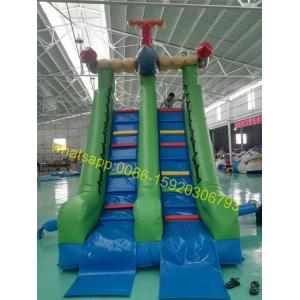 Quality shark samll kids pool water slide for sale