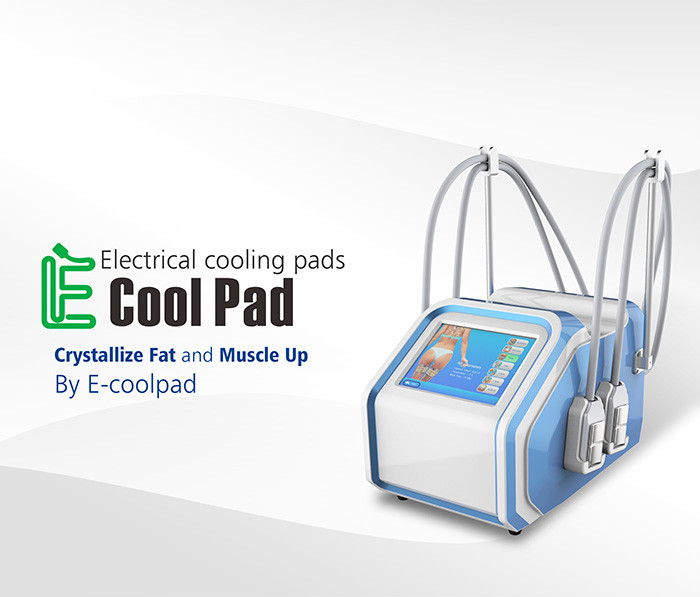 Loss Weight 45℃ Cryolipolysis Fat Freezing Machine