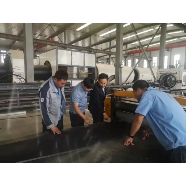 PE/PP Sheet Extrusion Production Line for 0.1-30mm Thickness Range