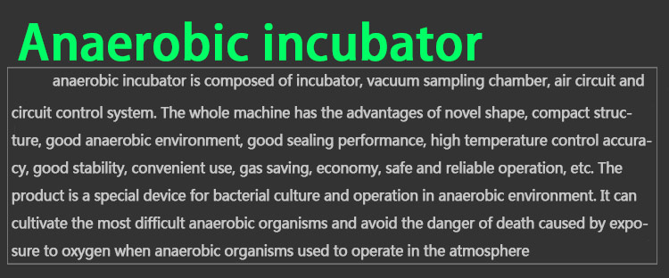 Automatic Heating Anaerobic Incubator Vacuum Chamber Bacterial Incubator ISO