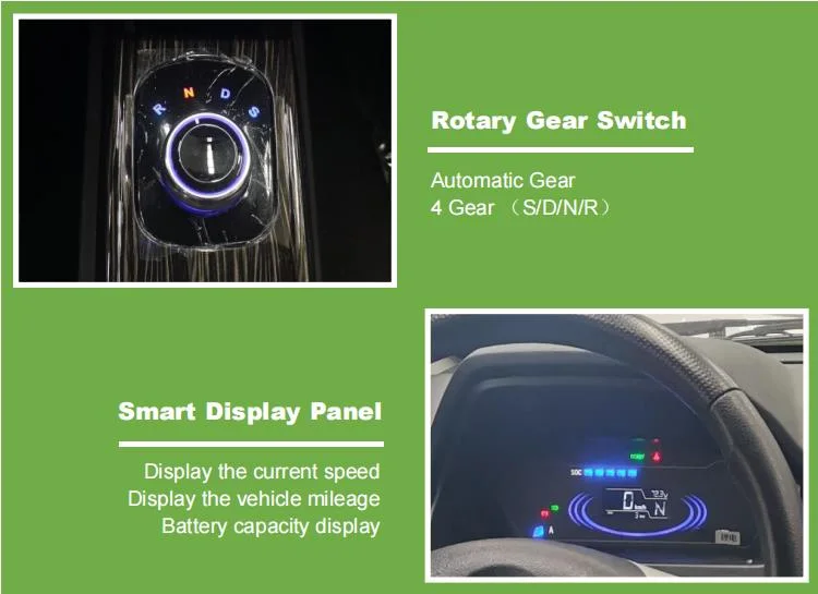 China Raysince Factory Hot Sales Model Cars Electric Sedan Four Seat Five Door New Energy Mini Electric Car for Adults