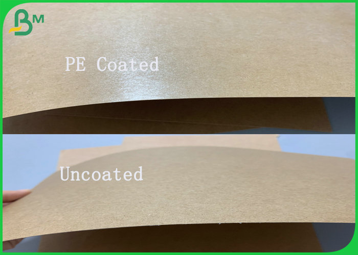  180g + 18g Food Grade Single Side Jumbo PE Coated Brown Kraft Paper Roll 