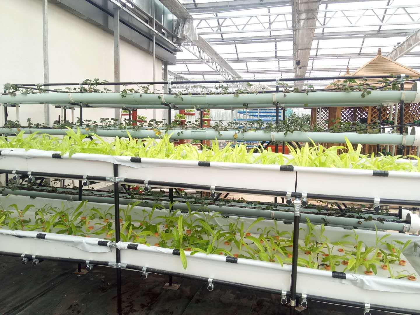 NFT DFT Garden Vertical Hydroponic Grow Tower System Agricultural