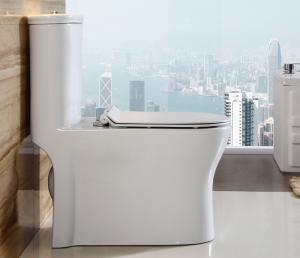Quality Water Saving Siphon Single Piece Toilet Upper Cistern Peeping Chinese Toilet for sale