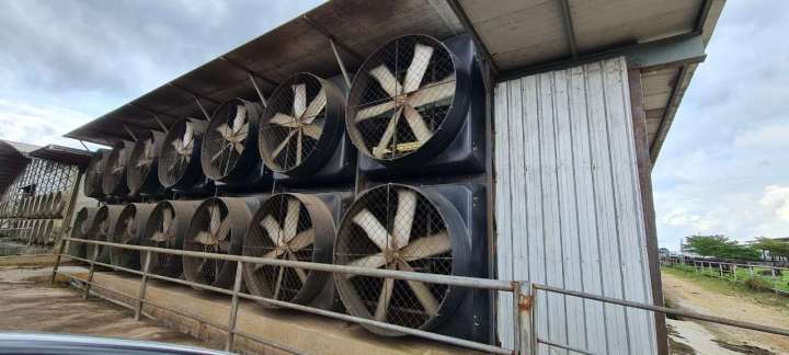 EC Large Industrial Exhaust Fan Electric Motor Industrial Circulation Fan For Greenhouse