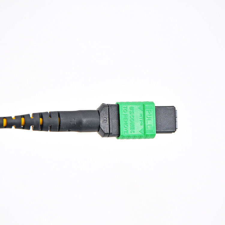 APC UPC MPO Patch Cord ROHS MTP Patch Cable Duplex SM Usconec Low Loss