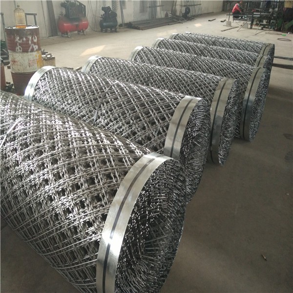 Durable Double Strand Razor Blade Barbed Wire Strong Steel Wire Mesh for Protection