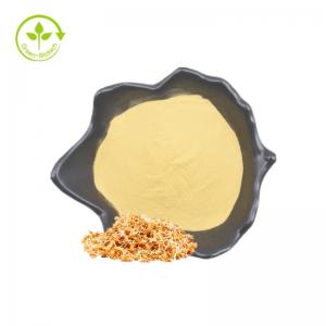 China Food Grade Natural Wheat Germ Extract Powder Spermidine Powder 124-20-9 Supplement on sale