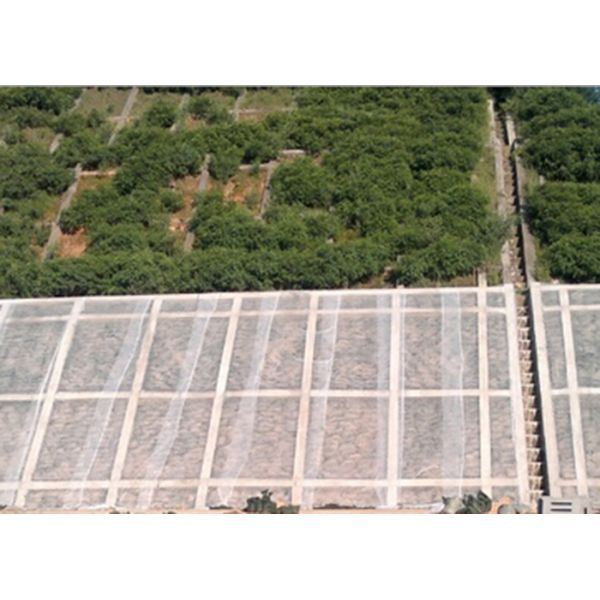 UV Resistant Vegetables Cover Spunbond Non Woven Landscape Fabrics Multi Color