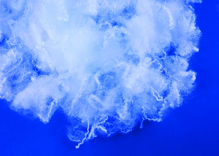 Special Functional Low Melt Polyester Staple Fiber Anti - Pilling 4D*51mm
