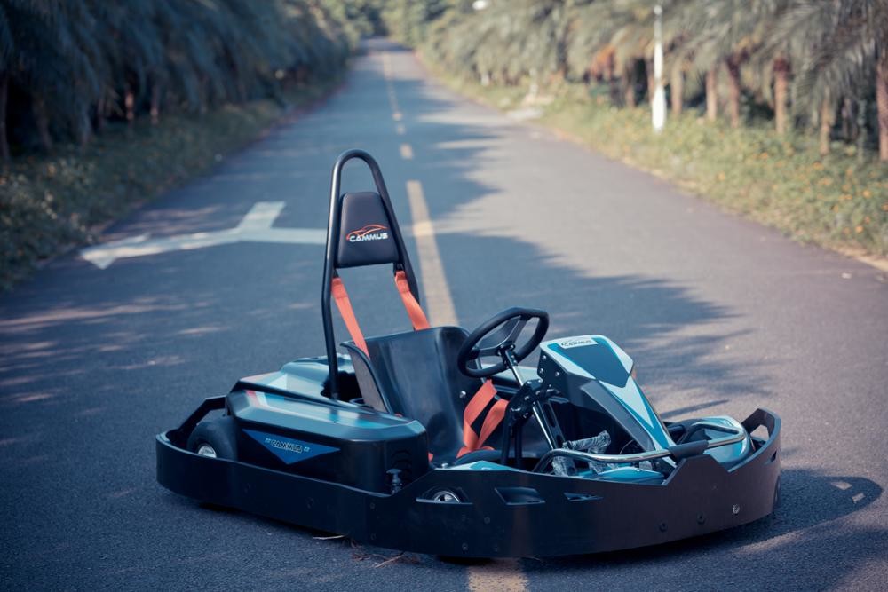 Fast Track Children Go Kart 32km/H App Adjustment Control OEM