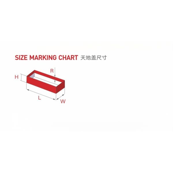 Box Wrapping Machine with Auto Mould Setting