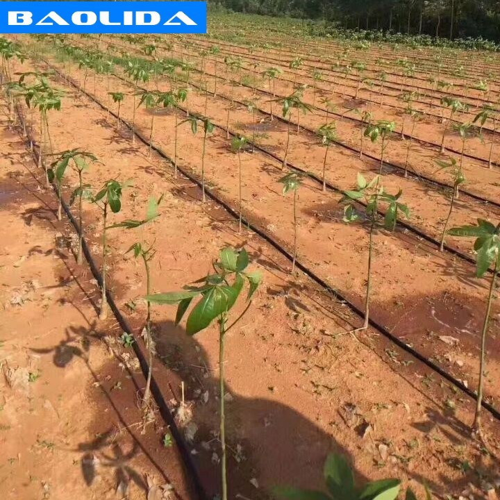 Agriculture Trigger Drip Irrigation Parts Greenhouse Irrigation System For Greenhouse