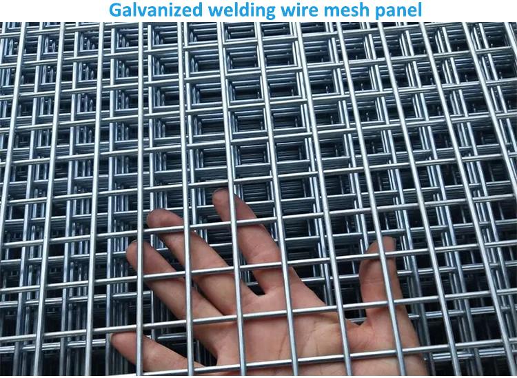 Galvanized Welded Wire Welded Reinforcing Aviary Mesh Panels Fence