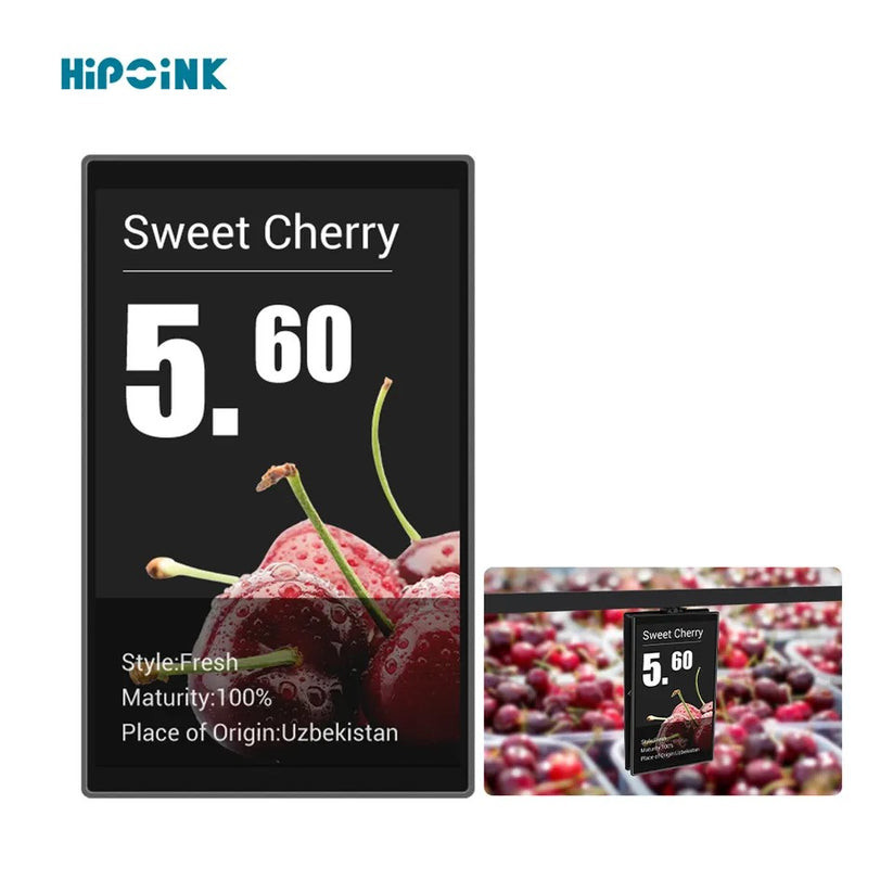 10.1 inch Full Color LCD TFT Display for Electronic Shelf Label with High Resolution and WIFI