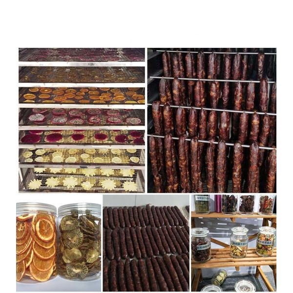 Multi Functional Food Fruit Vegetable Drying Equipment Easy Operation