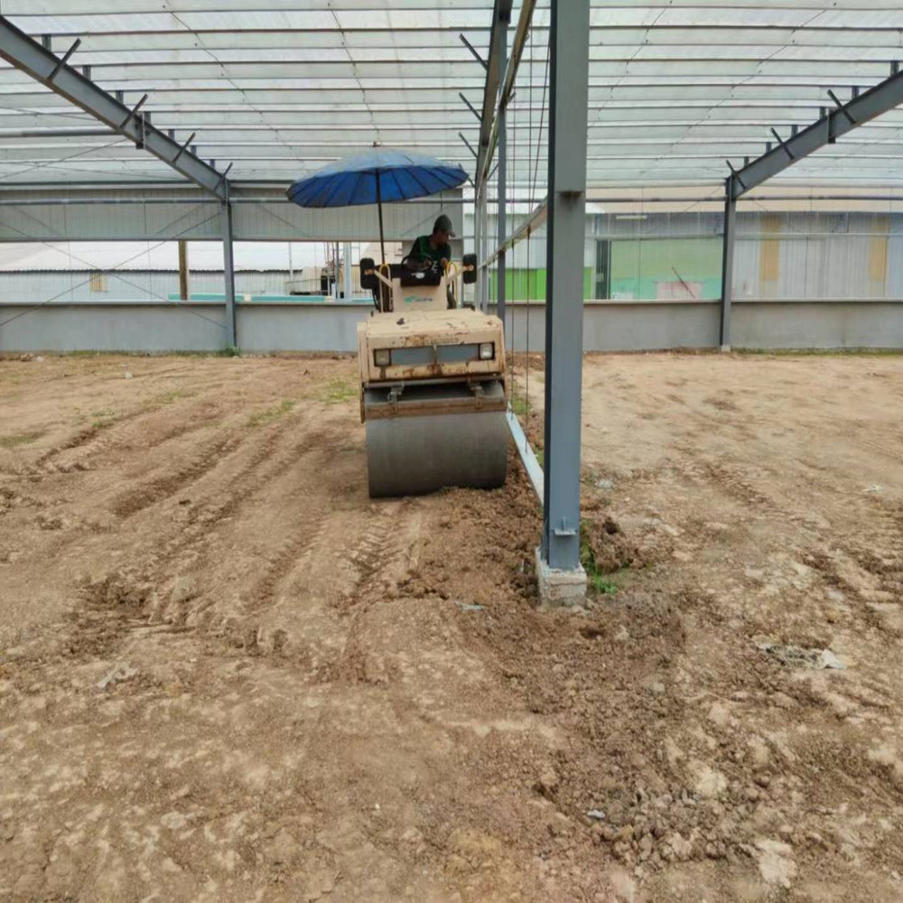 Flexible / Customized Steel Structure Warehouse
