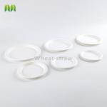 Eco-friendly Retail Shrinking Package Sugarcane Round Plates Biodegradable