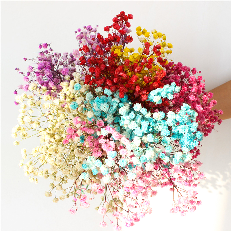 Colorful Dried Baby'S Breath Bouquet , Preserved Baby'S Breath For Gift