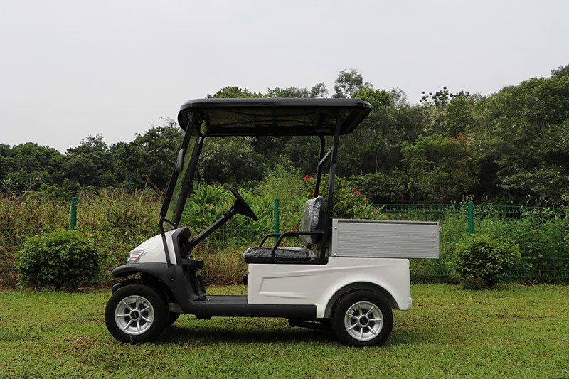 2 Seats Electric Golf cart With Aluminum Cargo Box 560KG Weight Capacity