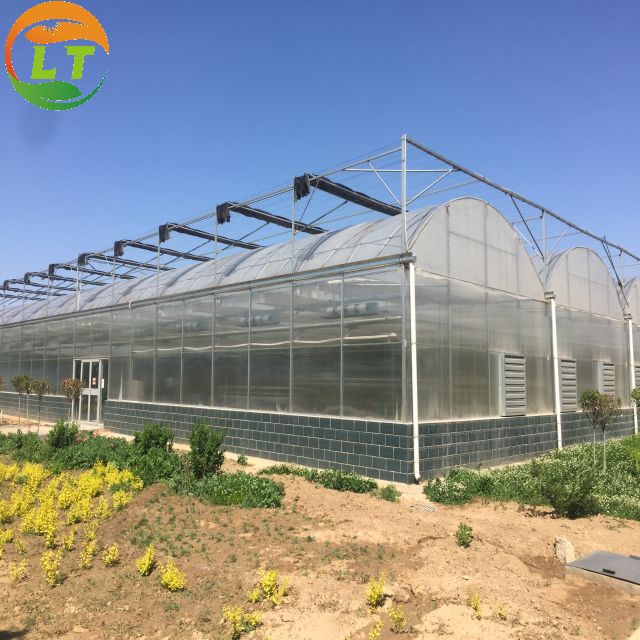 Hot Galvanized Steel Pipe Customized Layer Multi-span Film Greenhouse for High Output