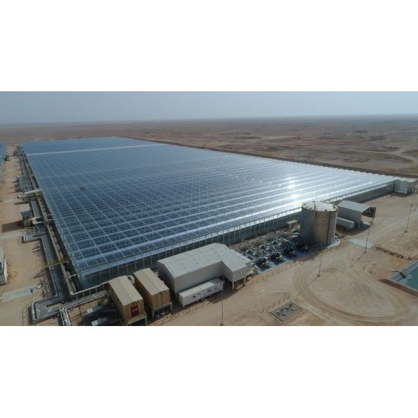 Completed agricultural greenhouse project case study